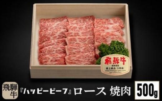 飛騨牛 A5等級 ロース ５００g | 焼肉 飛騨牛 ブランド牛 ロース バーベキュー 焼肉 飛騨牛 ロース バーベキュー 焼肉 飛騨牛 ロース バーベキュー A5等級 焼肉 飛騨牛 Ａ5ランク ハッピープラス 飛騨高山 JQ017VC13