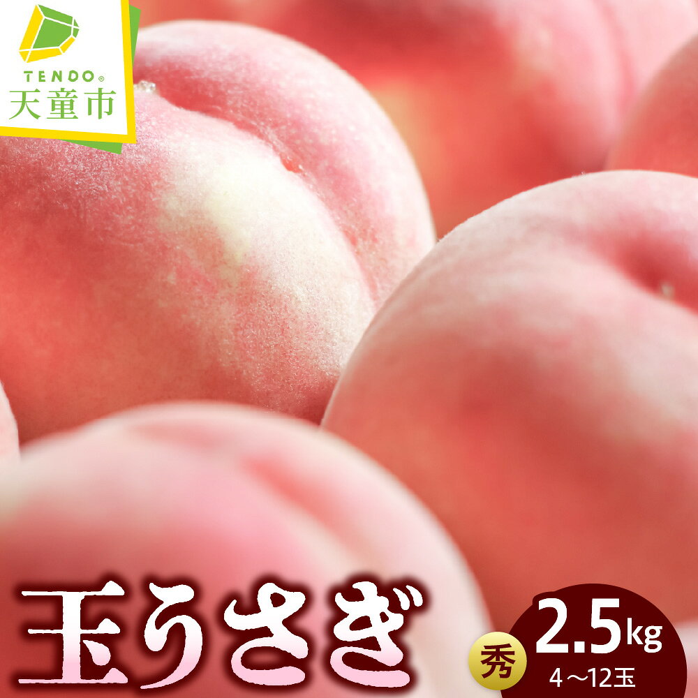 【ふるさと納税】もも ( 玉うさぎ ) 2.5kg 秀品 4～12玉 先行予約 令和8年産 2026年産 桃 白桃 ピーチ peach 果物 くだもの デザート 旬 冷蔵 お取り寄せグルメ 産地直送 送料無料【 山形県 天童市 】