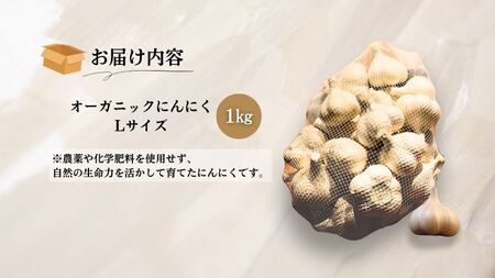 やまもと農産のオーガニックにんにく Lサイズ 1kg