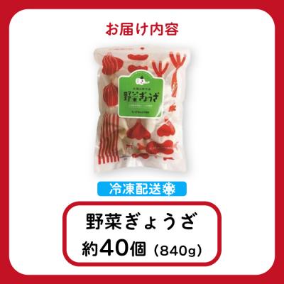 ふるさと納税 三原市 paoの無添加餃子「大地のめぐみ 野菜ぎょうざ」840g(約40個) [058-007] |  | 01
