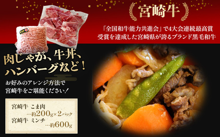 ＜宮崎牛こま肉(約400g)＆宮崎牛ミンチ(約600g)セット 合計約1kg＞2か月以内に順次出荷【a0506_sh】