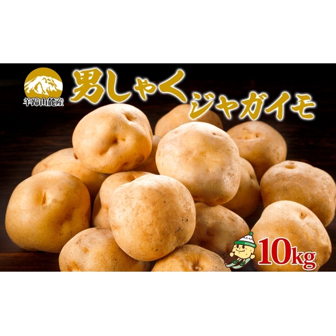 北海道産 じゃがいも 男爵 約10kg Lサイズ ジャガイモ 男爵いも 男爵イモ 馬鈴薯 ポテト 常備野菜 根菜 農作物 産直 国産 JAようてい 送料無料 北海道 倶知安町 北海道のジャガイモ 食品