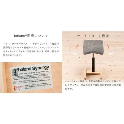 ふるさと納税 美濃市 バランス シナジー　ラウンドシート(カバー付き)[本体:シックグレー/カバー:ネイビー] |  | 02