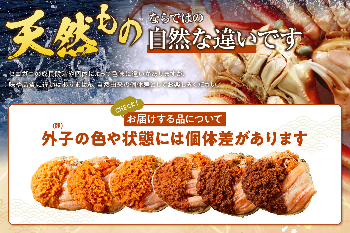 ランキング 6か月連続 週間 月間 1位 TVで紹介 セコガニ 甲羅盛り×6個 総量420g以上 冷凍 かに カニ 香美町 07-17 6個