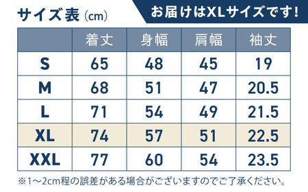 琉球ゴールデンキングス KINGS テキストロゴ ドライTシャツ (XLサイズ) Tシャツ 半袖 スポーツ ドライ メンズ レディース 沖縄市 / 琉球ゴールデンキングス[BCBG002-04]