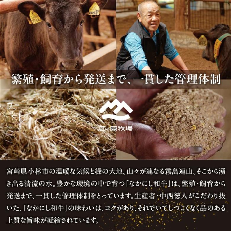 宮崎県西ノ原牧場・なかにし和牛訳あり不揃い切り落とし焼肉 400g（国産 牛肉 肉 宮崎牛 黒毛和牛 お肉 切り落とし なかにし和牛 焼肉 訳あり 不揃い ） 400g×1P