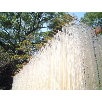 【期間限定】和泉手延べ麺　半生もどし長そうめん　たつみ麺店