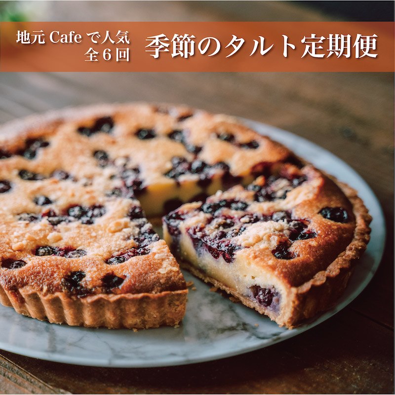 手作りスイーツ＜季節のタルト定期便＞偶数月配送 全6回【F65】