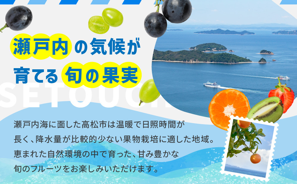 【12回毎月お届け】高松市自慢のフルーツ定期便【L】