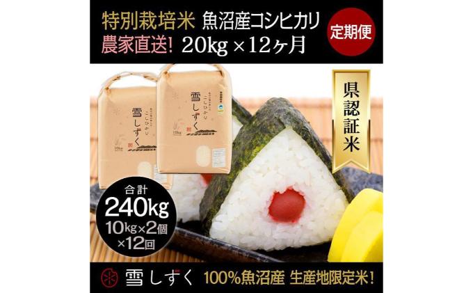 【令和6年産】定期便！農家直送！県認証特別栽培魚沼産コシヒカリ【合計240kg】毎月20kg×12回