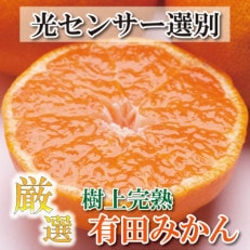 ＜2024年11月より発送＞厳選 完熟有田みかん5kg+150g(傷み補償分)【光センサー選果】