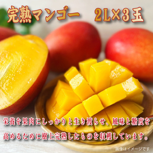 【2026年発送 先行予約】生産農家応援・濃厚果肉 みやざき完熟マンゴー 2L×3玉（マンゴー フルーツ アップルマンゴー 果物 くだもの 2026 先行受付 宮崎）