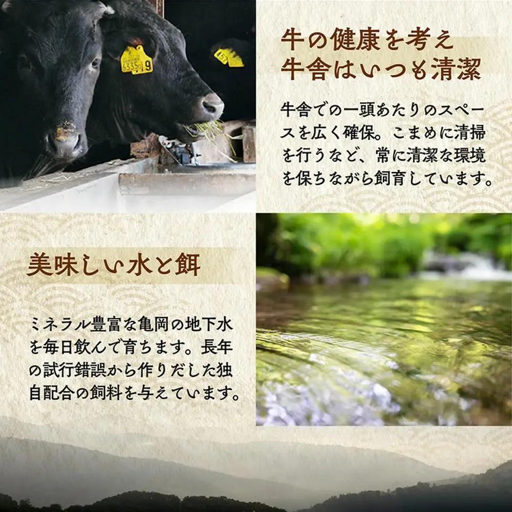 亀岡牛 赤身焼肉 300g 訳あり焼肉