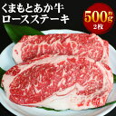 【ふるさと納税】GI認証 くまもとあか牛 ロースステーキ 約500g 2枚 ロース ステーキ お肉 牛肉 和牛 熊本県産 九州産 国産 冷凍 送料無料