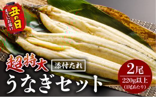 《丑の日までにお届け予定(7月1日～7月19日)》うなぎ白焼(超特大サイズ) 2尾_M069-023-U1