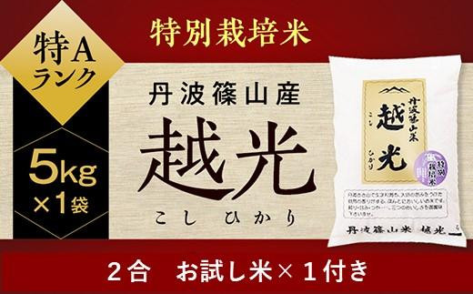 令和６年産 丹波篠山産　特Aランク　特別栽培米　越光（５ｋｇ×１袋）