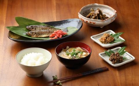 飛騨みそ 800g カップ入り（米麹 2個･麦麹 1個）計3個箱入り 味噌 贈答 ギフト 下呂温泉【3-6】