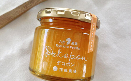 【12ヶ月定期便】熊本みかんのジャムセット(120g×3個)×12回 ジャム 果物 フルーツ 3種類 デコポン 甘夏 晩白柚
