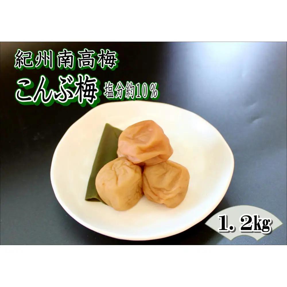 訳あり 【家庭用】紀州南高梅　こんぶ梅　1.2kg