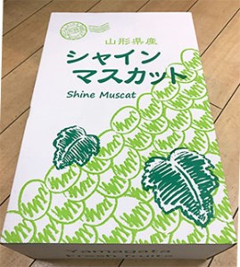 【ご家庭用】シャインマスカット 2kg入り 1箱 [前半] 【令和6年産先行予約】FU19-485