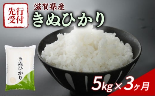 【令和7年産先行受付】 きぬひかり 5kg 3回定期便 令和7年産 定期便 新米 米 精米 こめ コメ お米 ご飯 米 キヌヒカリ 先行受付 米定期便 3か月定期便 3ヶ月定期便 3回 3ヶ月 3か月 滋賀 彦根