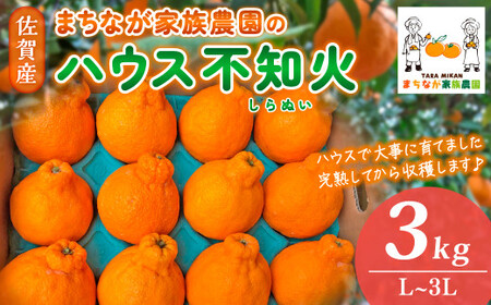 まちなが家族農園のハウス不知火（しらぬい）3kg 【2026年3月下旬～5月下旬まで順次発送予定】 しらぬい 不知火 でこぽん デコポン フルーツ くだもの 果物 ミネラル豊富 太良町 国産 贈答用 M64x1