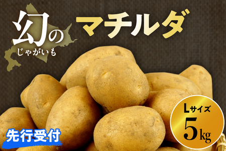 レビューキャンペーン実施中！【先行受付】【2026年4月出荷分】十勝めむろ産 越冬 マチルダ Ｌサイズ5kg 北海道産 国産 冷蔵 じゃがいも ジャガイモ 芋 いも イモ ポテト 5キロ L 野菜 肉じゃが ポテトサラダ カレー BBQ お取り寄せ 北海道 芽室町me010-018c-25