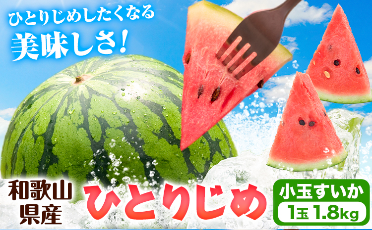 【先行予約】紀州和歌山産 小玉 スイカ 「ひとりじめ」 1玉 魚鶴商店《2027年6月上旬-6月下旬頃出荷》 和歌山県 日高町 スイカ スイーツ フルーツ 果物 野菜 スイカ すいか 夏 旬