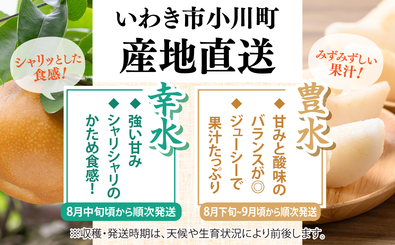 【先行予約】福島県いわき市産 梨(豊水) 約5kg | 梨 豊水 いわき市産 岡田梨園 約5kg 先行予約 期間限定 果物 フルーツ 和梨 国産 新鮮 産地直送 甘い 濃厚果汁 ジューシー 瑞々しい 
