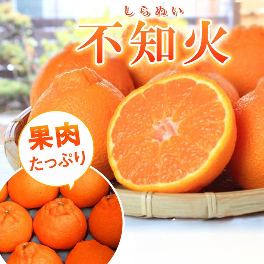 【ふるさと納税】【先行予約】紀州有田産不知火(しらぬひ) 【選べる容量】 約2.5kg 約5kg ※2026年2月中旬頃〜2026年3月中旬頃に順次発送予定（お届け日指定不可）/ みかん 不知火 和歌山 フルーツ 有田 果物 柑橘 人気 期間限定 おすすめ デコポン ミカン 柑橘類 有田産