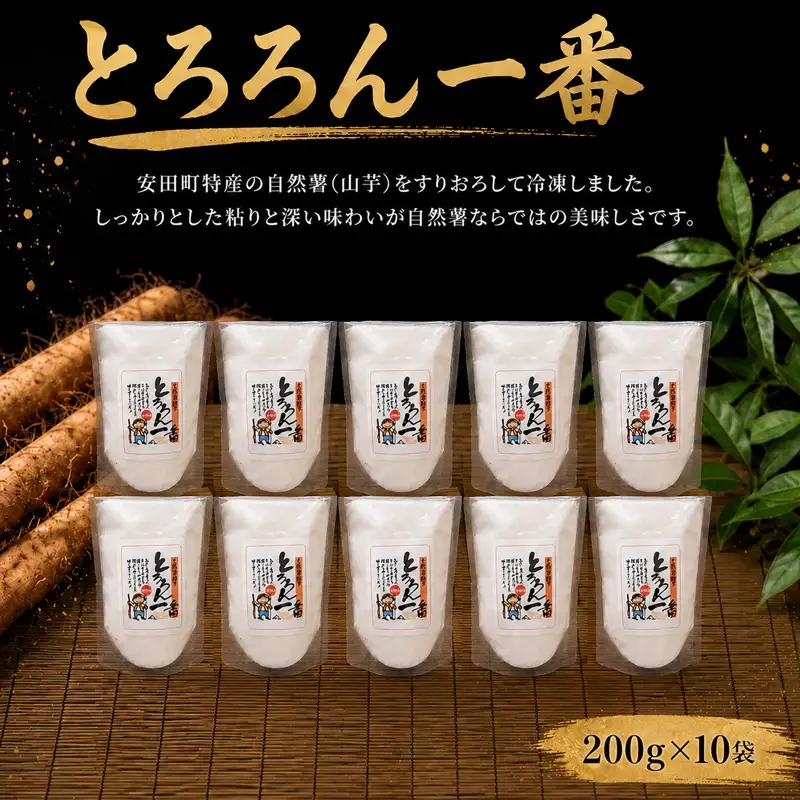 自然薯とろろん1番 10袋 とろろ 冷凍 小分け 自然薯 すりおろし JN0003