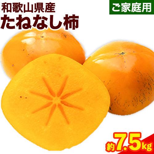 ◆先行予約◆【秋の味覚】和歌山産のたねなし柿ご家庭用約7.5kg 《2024年10月上旬-11月末旬頃出荷予定》 和歌山県 日高町 かき 種なし 柿 訳あり柿 わけあり 柿  