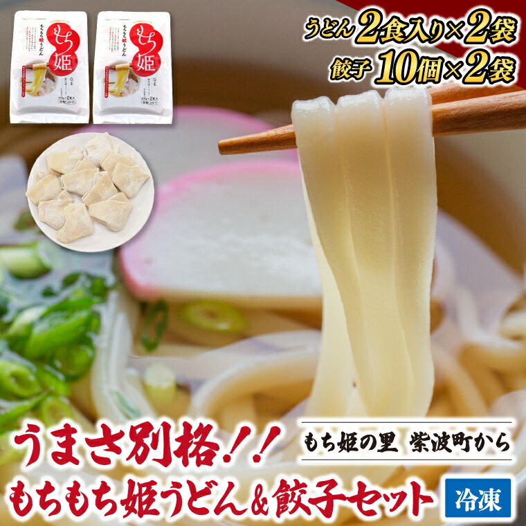 【ふるさと納税】 うどん 餃子 冷凍 小分け 紫波町産 「生もちもち姫うどん ＆ もちもち姫餃子 セット 」内容量 うどん 麺4食分 / ぎょうざ 20個 (AI013-1)