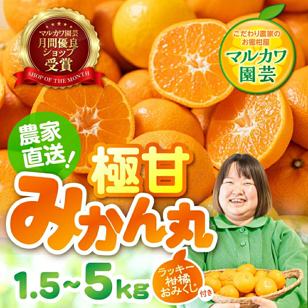 【ふるさと納税】極甘！みかん丸 1.5kg ~ 5kg ≪定期便が選べる≫ 3回 6回 温州みかん みかん 蜜柑 マルカワ園芸 ミカン 柑橘 旬 果物 フルーツ 定期便 フルーツ定期 柑橘 甘い おススメ 人気 ランキング 3kg 5kg こだわり農家のお蜜柑屋 訳あり mikann 愛知県 豊橋市