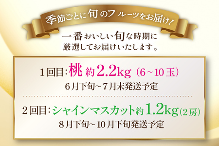 フルーツ 定期便 2回 山梨 旬な果物 人気の2種セット 桃 2.2kg(6?10玉) シャインマスカット 1.2kg(2房)