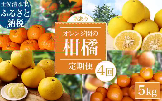 【令和８年発送　訳あり】 オレンジ園の柑橘4種（ぽんかん・文旦・タンカン・小夏）各5kg 4回定期便 ポンカン ぶんたん 果物 蜜柑 みかん ミカン 柑橘 フルーツ デザート 常温 配送【J00100】