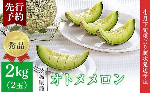 007-2 オトメメロン 秀品 2玉 約2kg 茨城県 JA水戸産