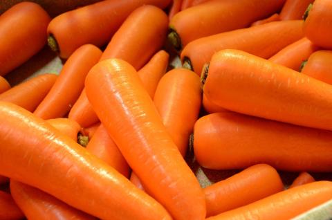 碧南市を代表するブランド人参「へきなん美人」 にんじん 10kg　H017-100