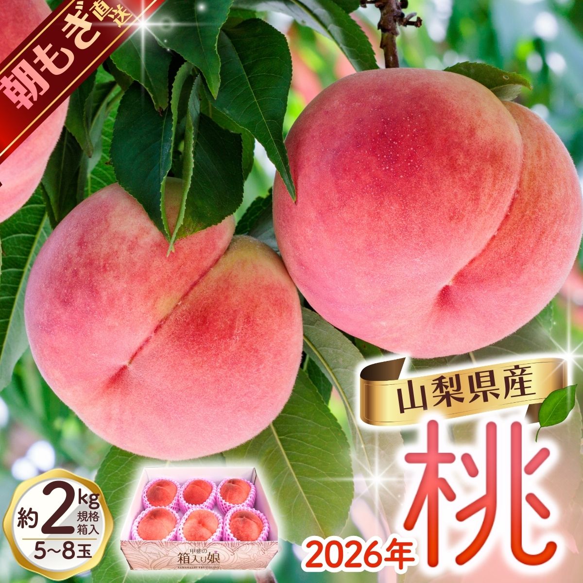 【ふるさと納税】 朝もぎ直送 山梨県産 桃 白鳳 白桃 5～8玉 約2kg規格箱入り【高機能共選機使用】選び抜かれた山梨の桃 / もも 先行予約 モモ おいしい 糖度センサー フルーツ 果物 くだもの 人気 産地直送 厳選 贈答【先行予約】