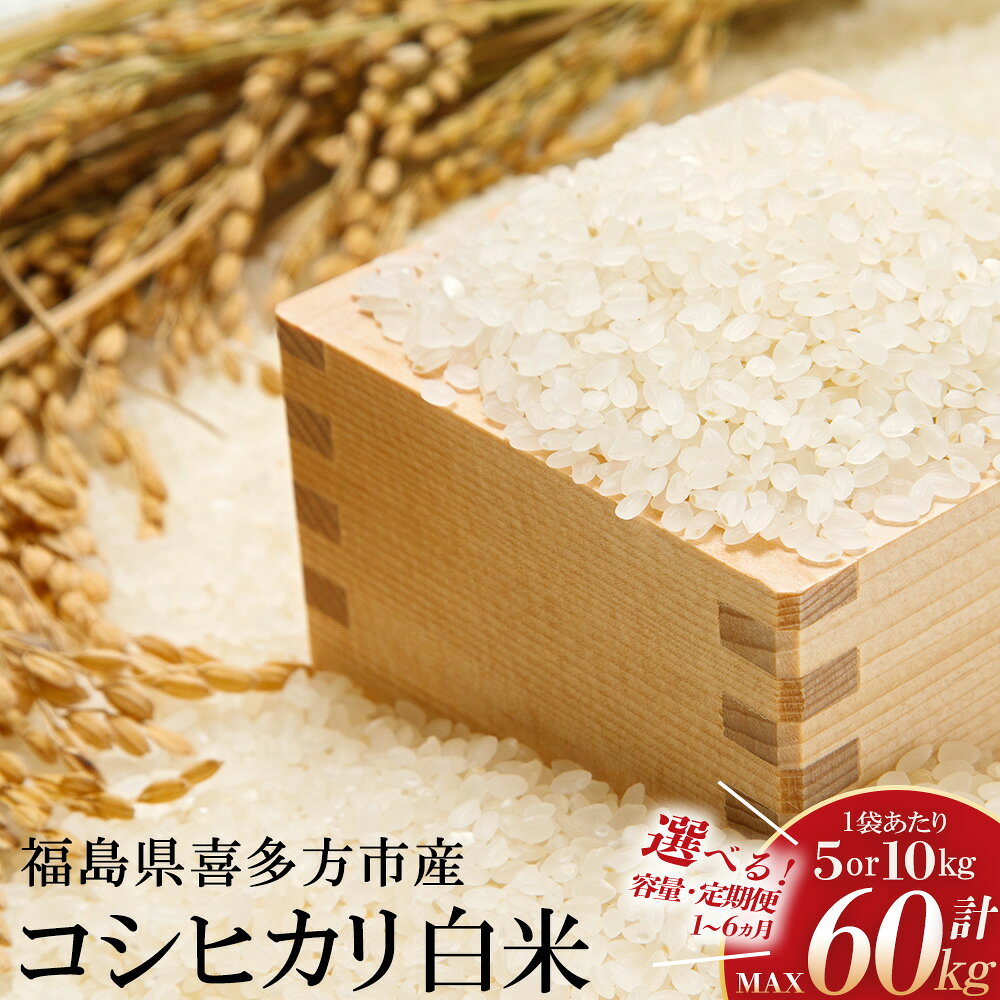 【ふるさと納税】【令和8年産】特別栽培米コシヒカリ 【選べる内容量・お届け回数】5kg 10kg 1～6回　[米・食味分析鑑定コンクール国際大会 特別優秀賞受賞]　 こめ 米 白米 おこめ ごはん 福島県 喜多方市 スガイエコファーム