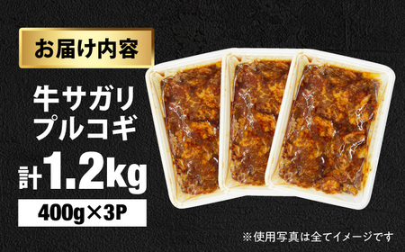 牛サガリプルコギ1.2kg 広川町 / 株式会社POWER EAST CONNECTION[AFAZ044]