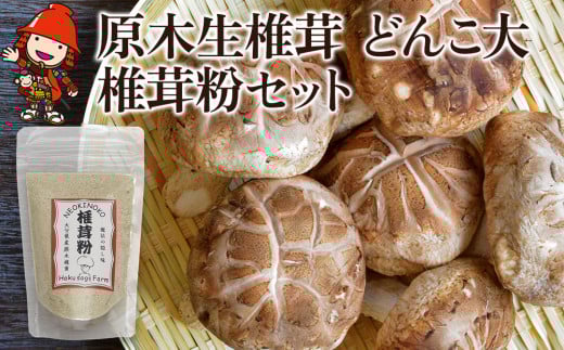 原木生椎茸 どんこ大 400g 以上と 椎茸粉 30g セット | きのこ キノコ しいたけ シイタケ 椎茸 生しいたけ 乾しいたけ 干し椎茸 干ししいたけ 乾燥しいたけ 乾燥椎茸 粉 粉末 詰め合わせ 大分県産 九州産 国産 大分県 中津市