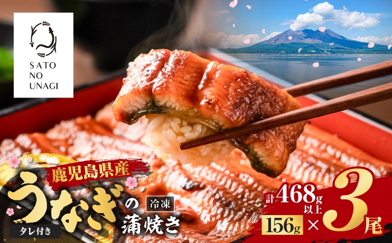 
                  鹿児島県産うなぎ蒲焼 156g×3尾 468g以上　K379-002_01
                
