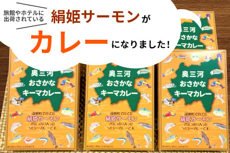 お試し★ 絹姫サーモン 奥三河おさかなキーマカレー 1個 レトルトカレー 魚 サーモン 鮭 非常食 キーマカレー -213