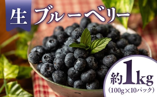 A-118　生ブルーベリー 約1kg（100g×10パック）＜2025年発送　先行予約＞