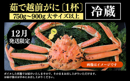 【先行予約】【12月発送限定】茹で越前がに 1杯 750g～900g（大サイズ以上）《新鮮！茹でたてを発送》／ 高級 福井 ブランド ズワイガニ 黄色タグ ボイル 冷蔵 蟹 カニ 期間限定【年内発送 
