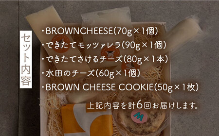 【6回定期便】世界銅賞受賞！BROWN CHEESE入り おまかせチーズ5種セット【ナカシマファーム】[NAJ105]チーズ ナカシマファーム チーズ 酪農家の手作りチーズ てづくりチーズ 人気チーズ