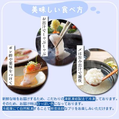ふるさと納税 氷見市 【寒ブリ使用!】氷見天然ブリしゃぶしゃぶ用300g〈凍眠凍結〉 |  | 01