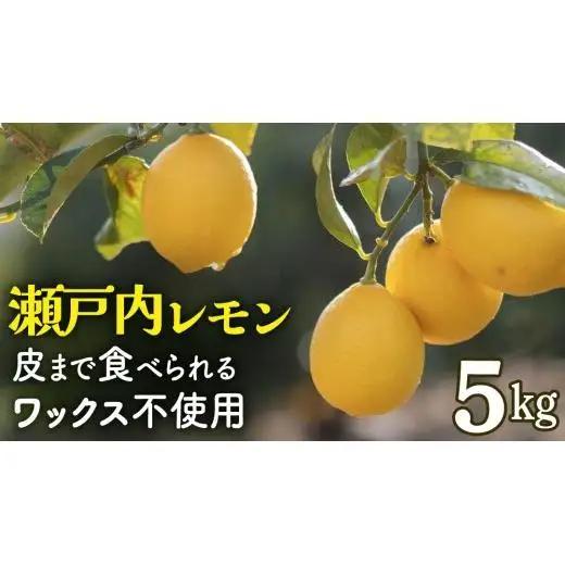 【先行予約】 もぎたてフレッシュ！ せとうちレモン 約5kg (約 40～50個程度 ) 2026年12月中旬～2027年1月発送 ワックス防腐剤不使用 皮まで丸ごと食べられる