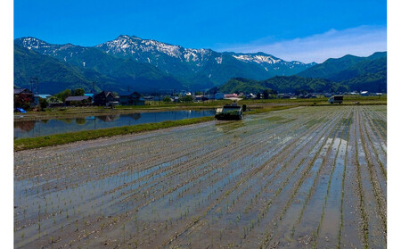 【令和7年産新米予約】南魚沼産　塩沢コシヒカリ「だすけ米」 精米10kg【2025年9月中旬より順次発送予定】